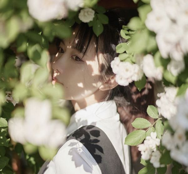 绝命律师第三季_BD免费观看